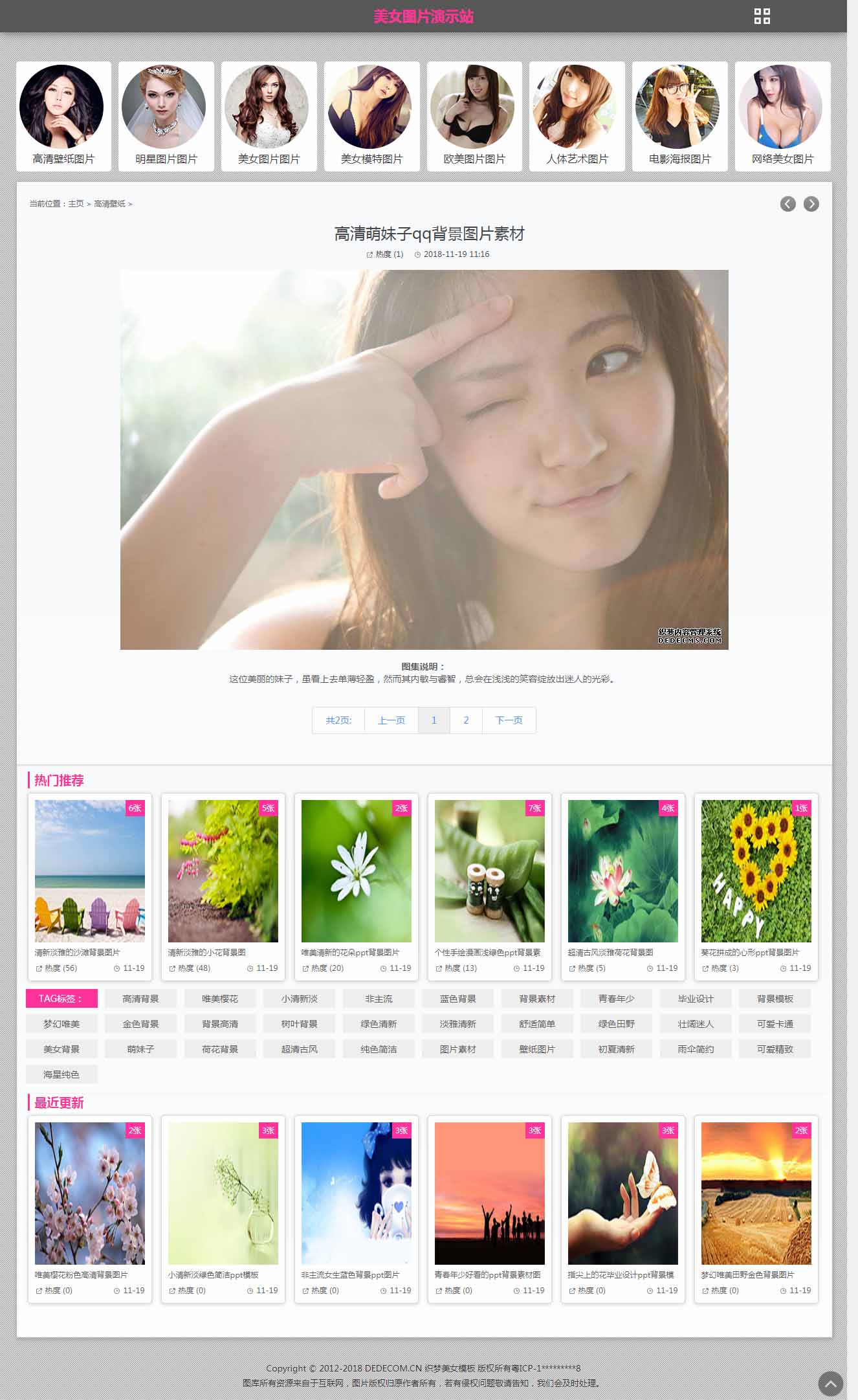 模板的全面指南