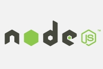 Node.js 命令大全：从初学者到专家 (node.js)