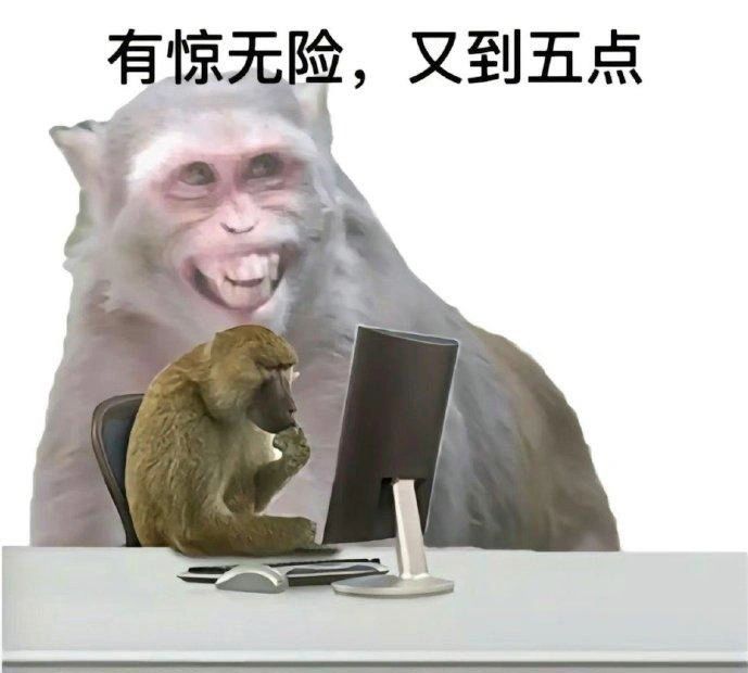 拥有一个可以与所有人分享的笑话网站