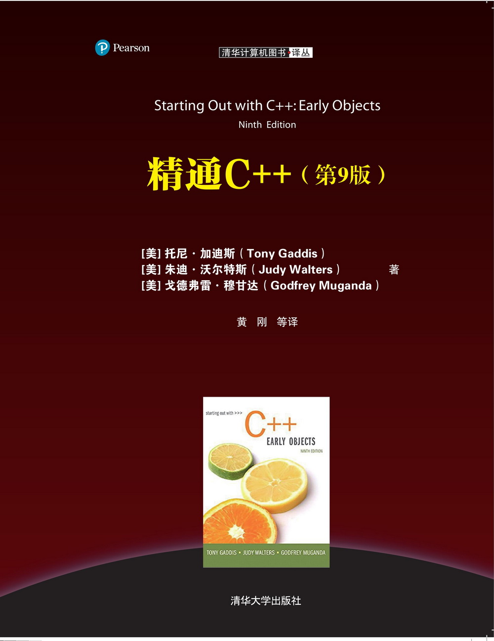 精通 C 源码：高级技术分析，优化应用程序性能 (精通c++范例教程)