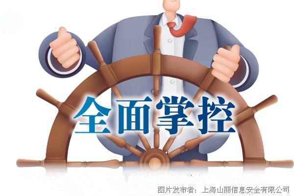 使用公司进行完整的定制和