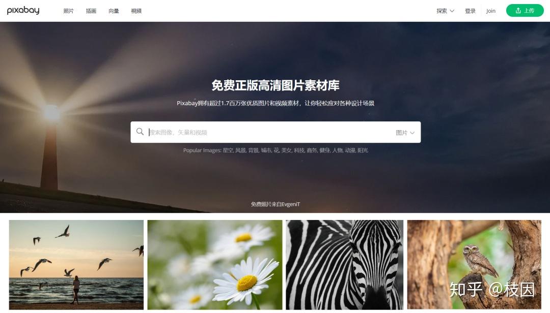 下载免费的源码