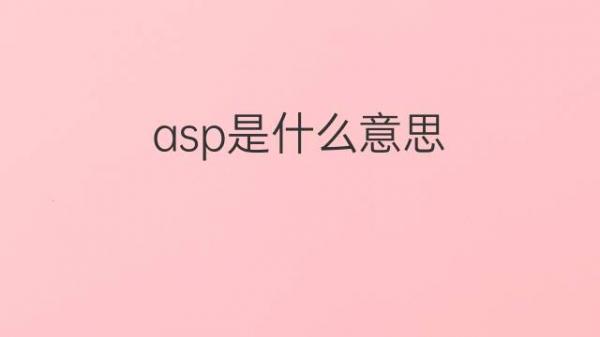 高级 ASP 编程技术和用例指南 (asp高级程序员招聘)