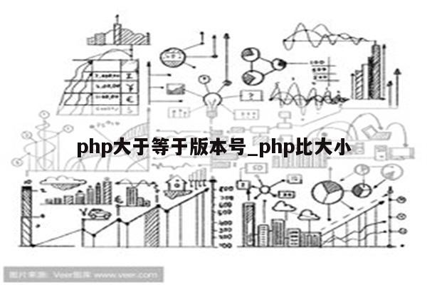 PHP5 大师班：从初学者到专家的终极指南 (php大神)