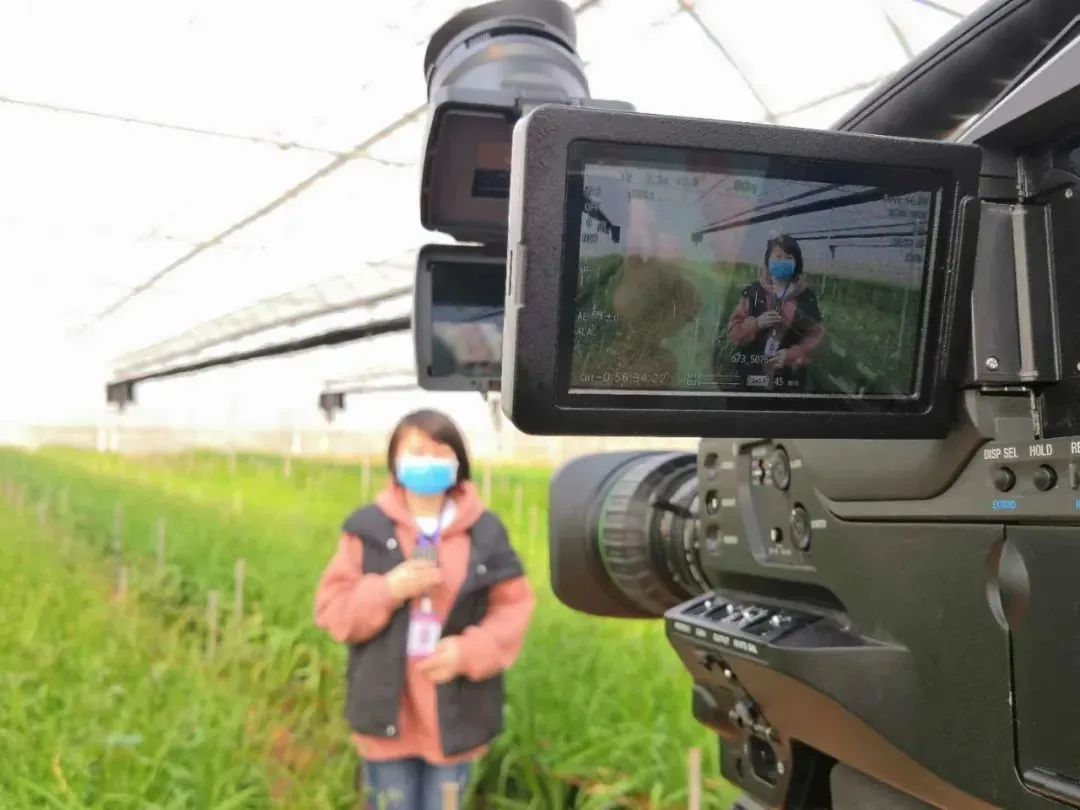 播放器代码您的网站