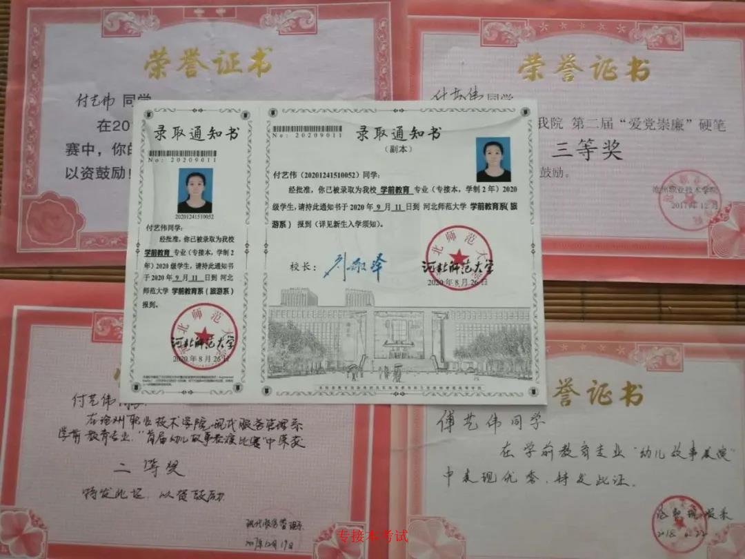 从初学者到专家：使用plot函数驾驭数据可视化 (从初学者到专家的五阶段理念)