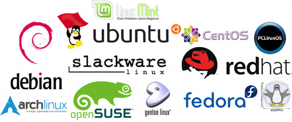 Linux 多线程编程的综合指南：创建和管理多线程应用程序 (linux多个网卡怎么配置ip)