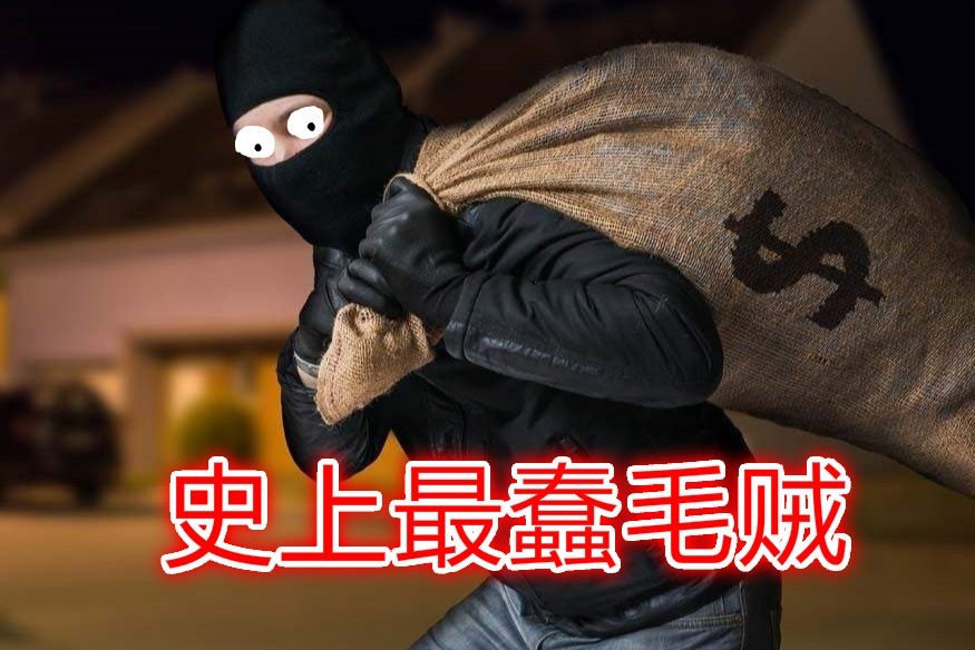 小偷程序带来的致命后果：个人数据盗窃的真实威胁 (小偷程序带来的危害)
