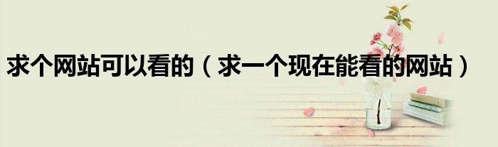 发现你的网站