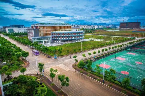 揭开广西 SEO 的秘密：为您的企业建立强大的在线影响力 (揭开广西真面目,他绝对不是你知道的那样)