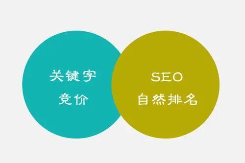 百度 SEO 软件：提升网站流量和排名的终极指南 (百度seo软件是做什么的)