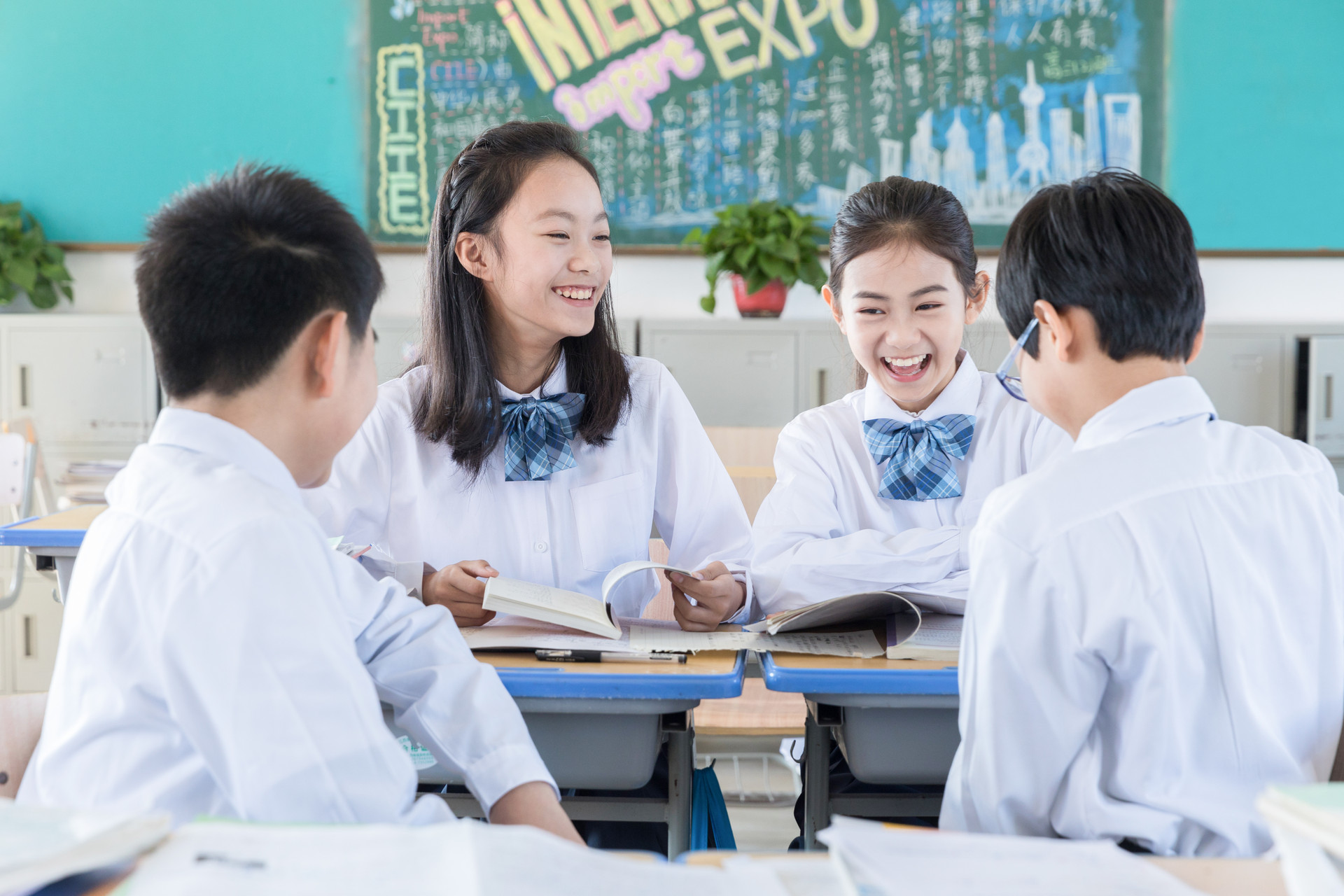 初学者的 SEO 基础教程：从零开始提高网站排名 (初学者的水平的英语)