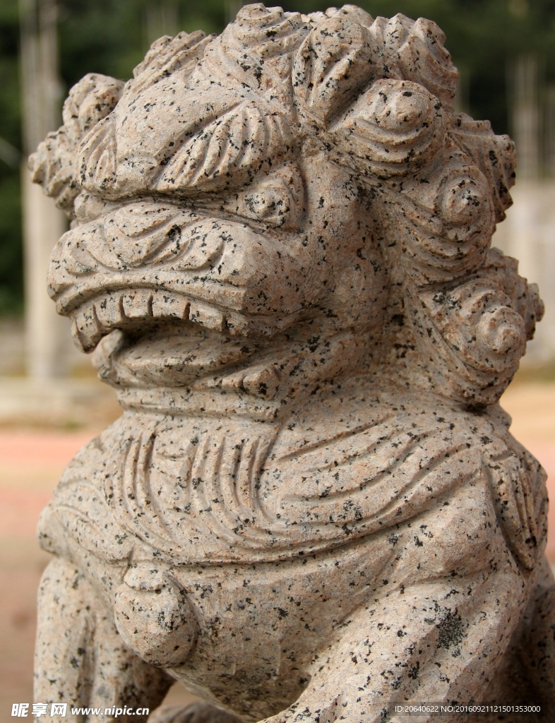 石狮市