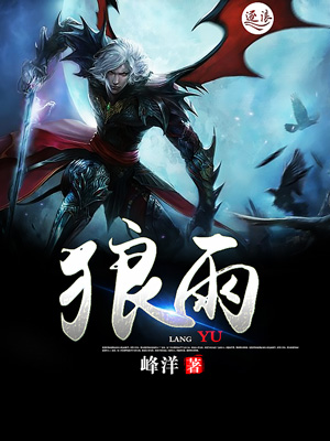 狼雨SEO