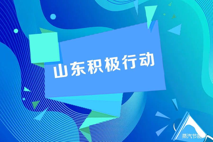 释放山东SEO的潜力：优化网站，主导搜索结果，并增加销售 (山东何时解放的)