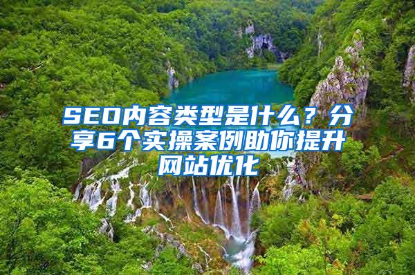 SEO实操揭秘：业内顶级专家的指南 (seo实操视频教程)