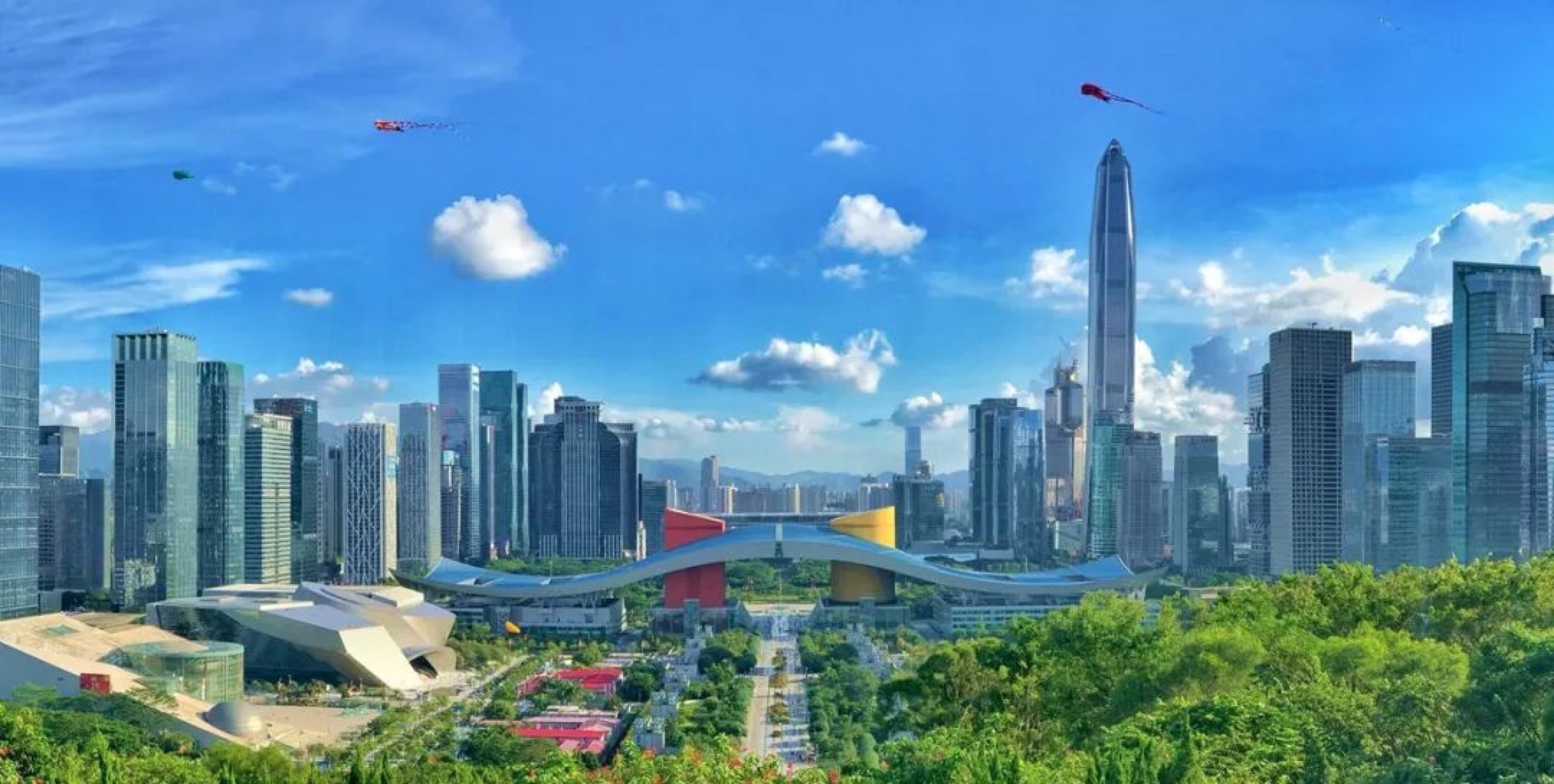 在深圳提升网站可见度：专业 SEO 推广服务的指南 (深圳上网的地方)