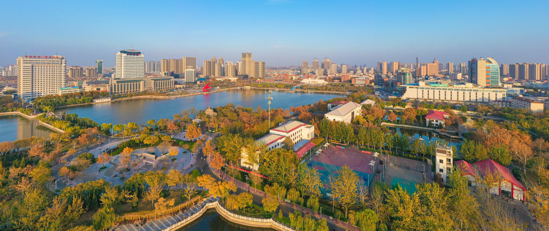 中占据主导地位