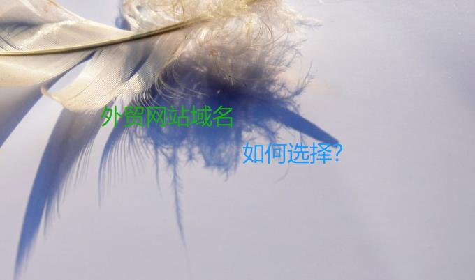 SEO工具