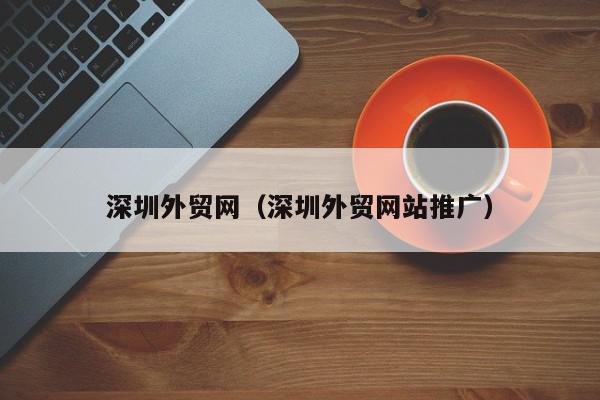 外贸网站 SEO 实战宝典：分步详解优化策略，征服海外市场 (外贸网站seo)