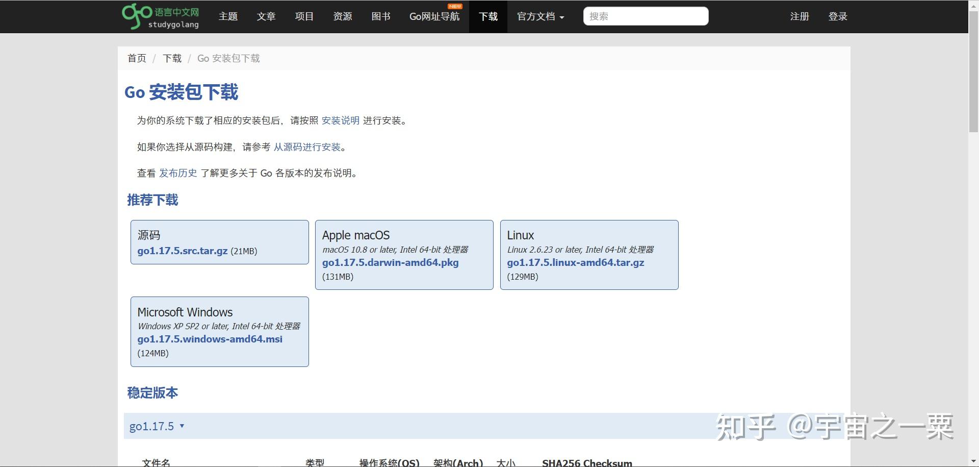 全面的 Google SEO 指南：优化您的网站以获得顶尖排名 (全面的公司搬迁)