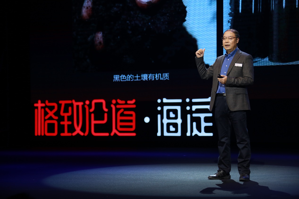探索令人惊叹的图像画廊，欣赏令人陶醉的视觉盛宴 (探索令人惊叹的成语)