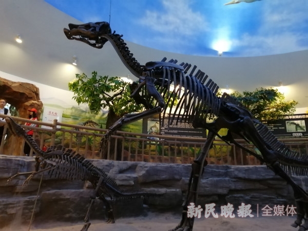 通过网站推广赢得顾客的心