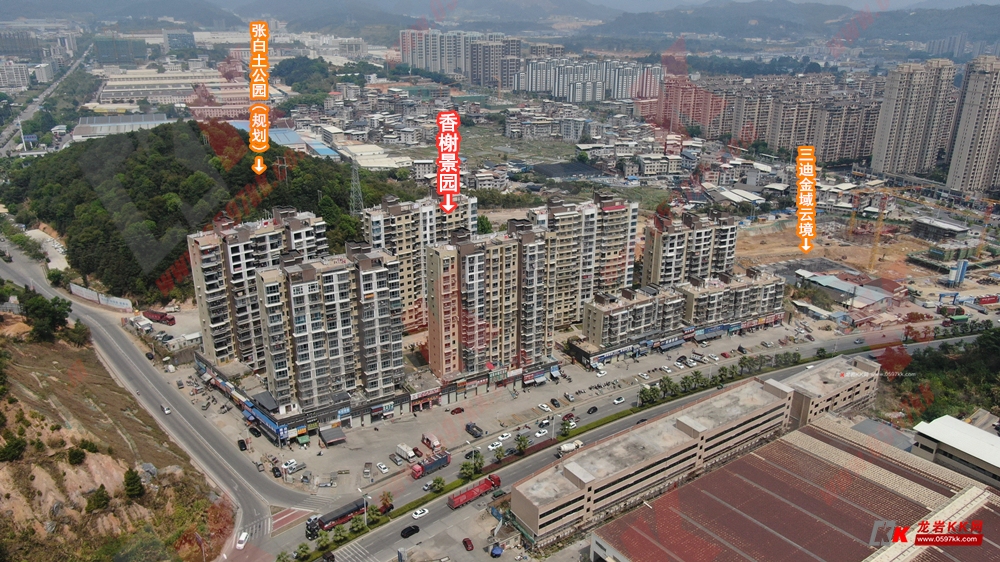 优化你的龙岩网站：SEO、SEM和社交媒体营销策略 (优化建议什么意思)