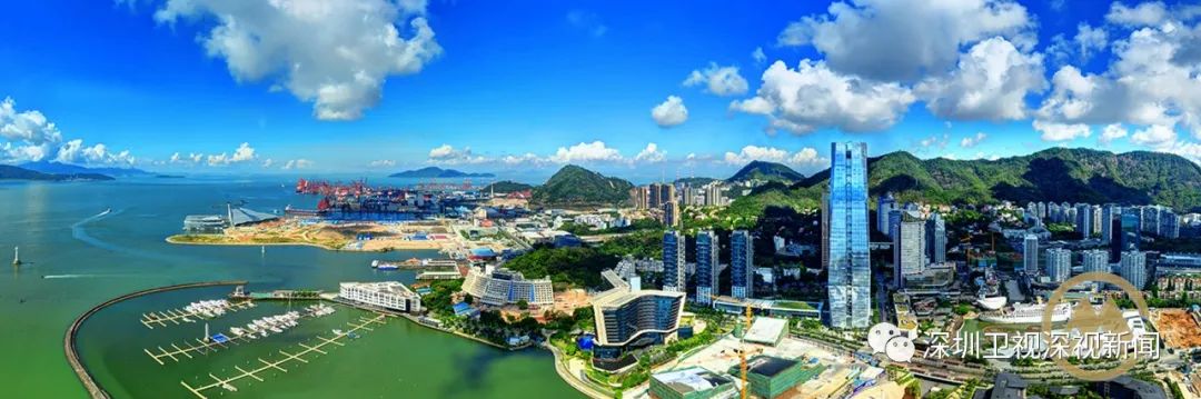 主导深圳线上市场：与领先的网站推广公司合作 (深圳线上教育)