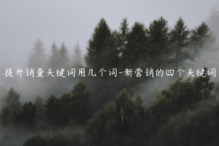 提升关键词排名的权威指南：深入探索搜索引擎优化原则和技术 (提升关键词排名方法)
