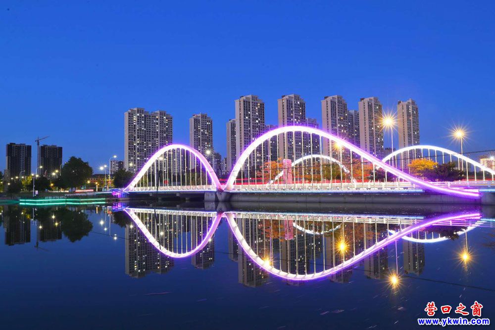 营口领先的网站建设公司：为您的企业打造超凡在线形象 (营口领先的网红是谁)
