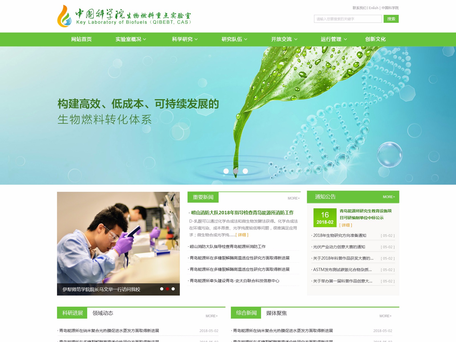 专业网站