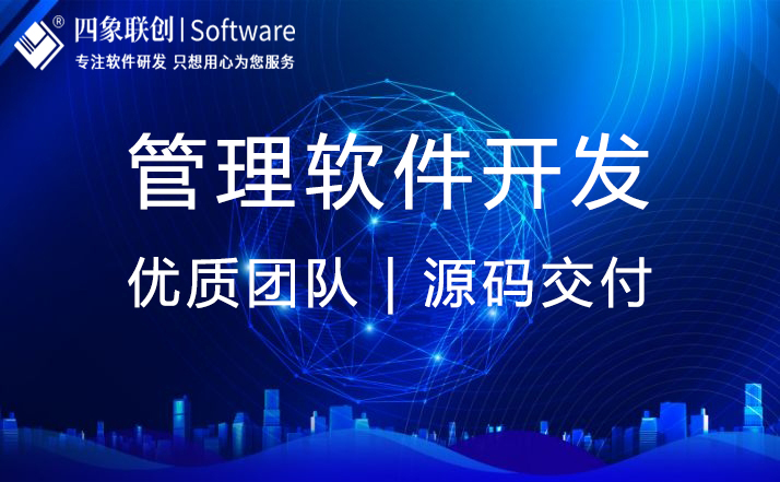 通过软件定制开发