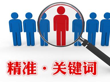 掌握网站关键词优化技巧，助你提升搜索可见度 (掌握网站关键信息)