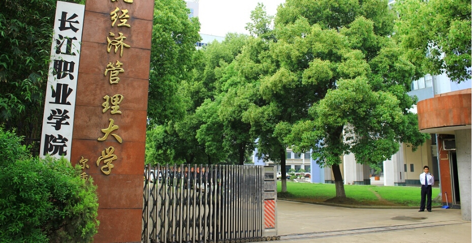 武汉专业网站建设