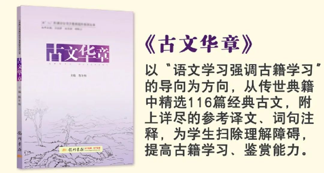初学者的宝典：全面解析企业网站的类型和功能 (新手入门宝典)
