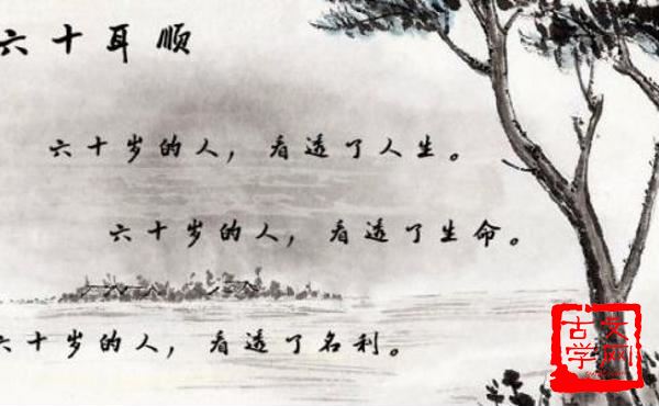 从头到尾打造令人惊叹的网站：网页设计与制作的完整秘诀，助您脱颖而出 (从头到尾打造一座城市)