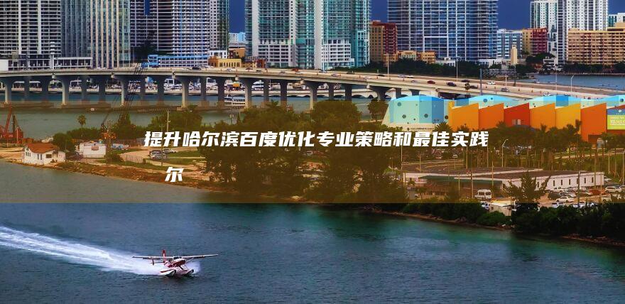 提升哈尔滨百度优化：专业策略和最佳实践 (哈尔滨百一)