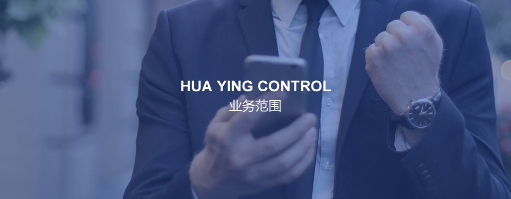 为您的业务量身定制：顶级网站建设公司提供的无与伦比的网站解决方案 (为您的业务量提供服务)