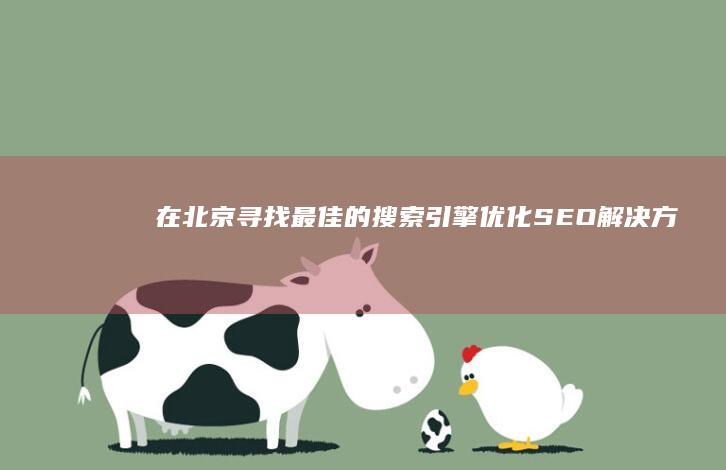 在北京寻找最佳的搜索引擎优化 (SEO) 解决方案 (在北京寻找最爱的人)