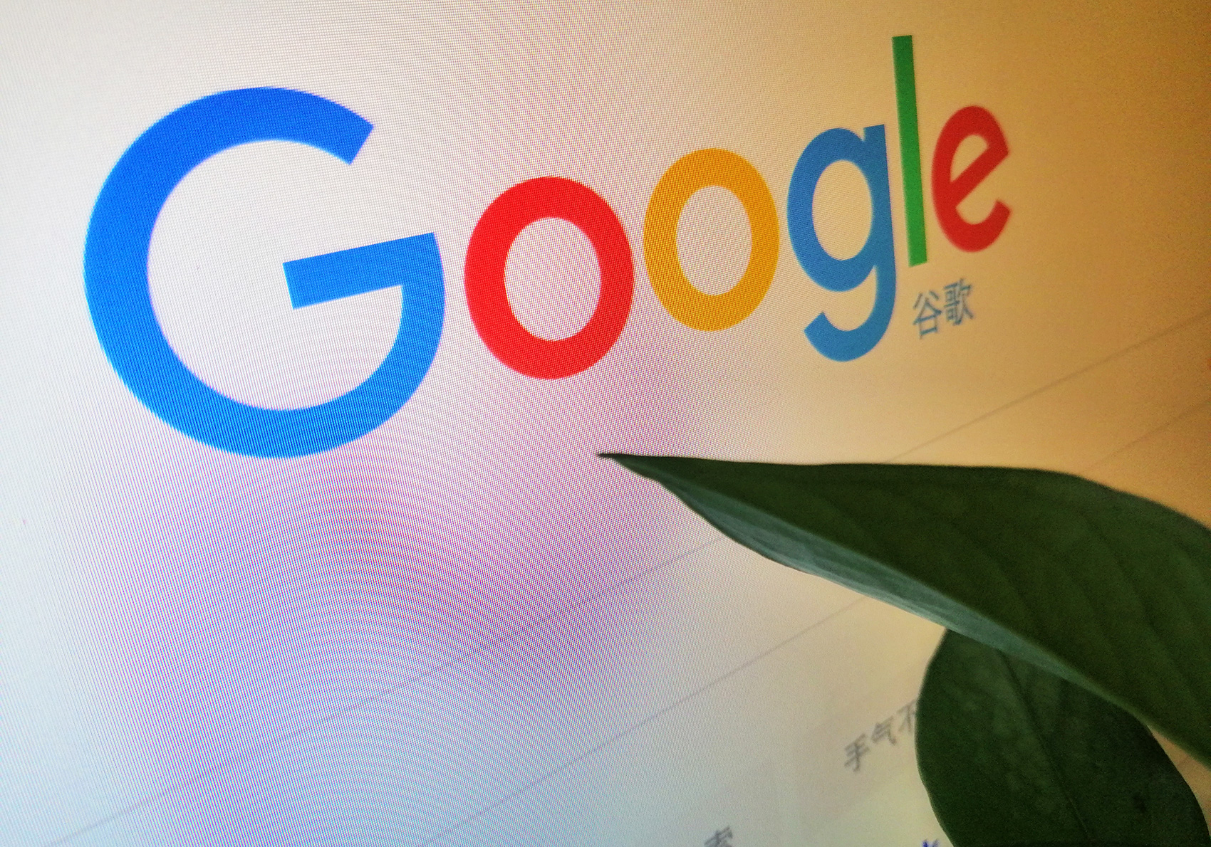 深入了解 Google 网站优化策略，提升网站表现 (深入了解工作优势)