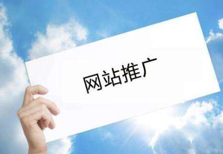网站推广的终极指南：逐步方法 (网站推广的终端是什么)