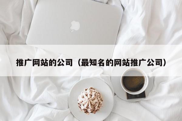 集成的网站推广策略：从搜索引擎优化到社交媒体营销 (集成的网站推荐有哪些)