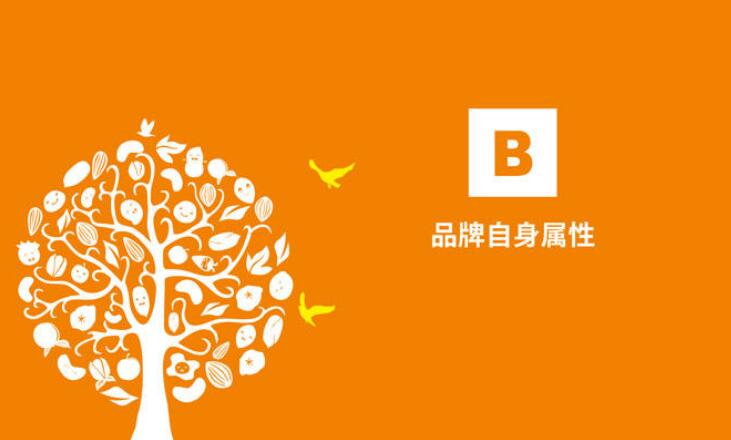 品牌推广的终极秘诀：创建难忘的品牌体验 (品牌推广的终极目的)
