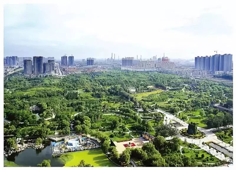 释放邯郸市场的力量：通过定制化网站推广策略，吸引目标受众 (邯郸市场热线电话)