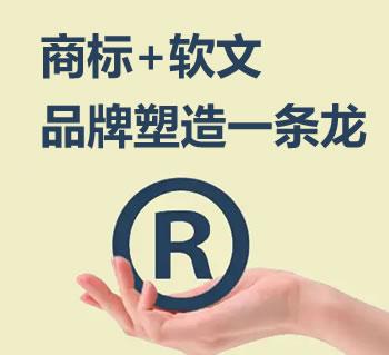 网站软文推广的策略与方法，打造品牌影响力 (网站软文推广的平台 稿件吧)