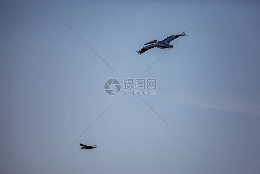令人惊叹的大型促销活动，不容错过！ (令人惊叹的大自然)