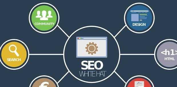 掌握 SEO 网站推广的技巧：提升在线业务成功 (seo入门知识)