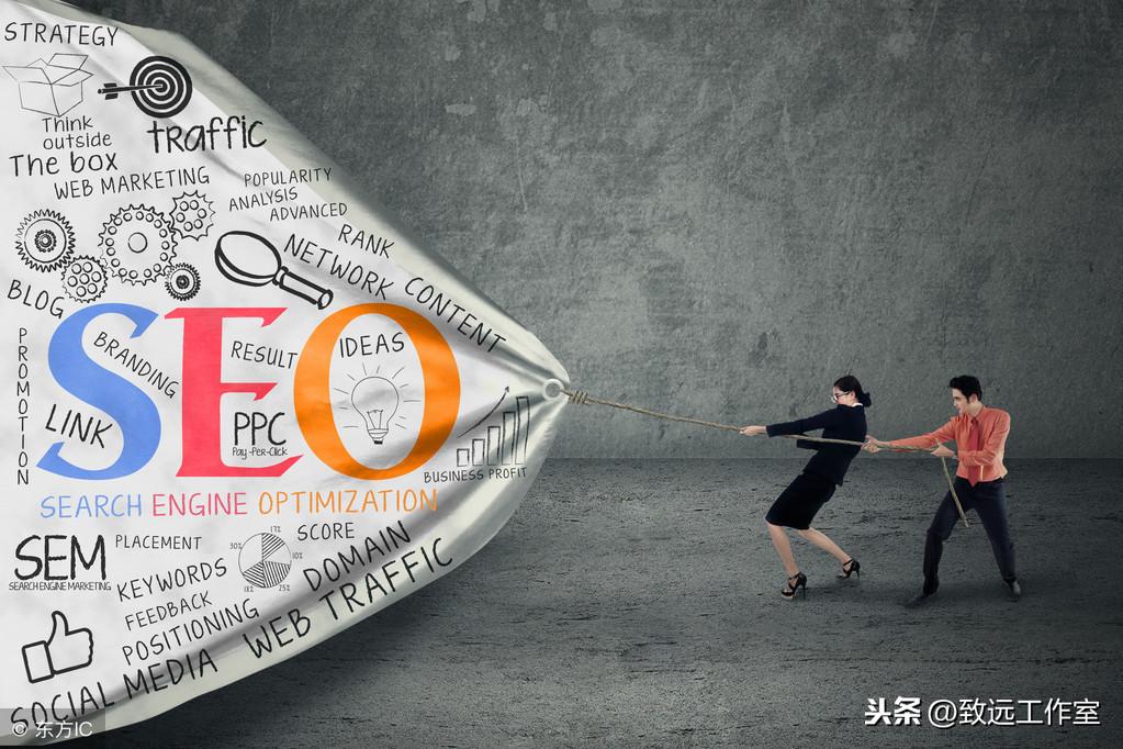掌握SEO专业知识和技能，提升网站排名和流量 (专业seo教程)