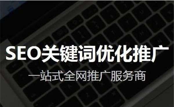 全面提升网站流量和可见性的专业 SEO 服务 (全面提升网站的)